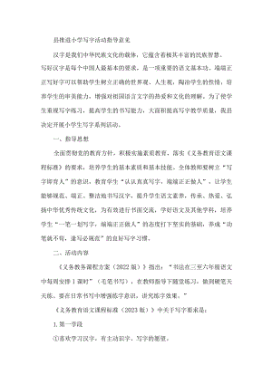 县推进小学写字活动指导意见.docx