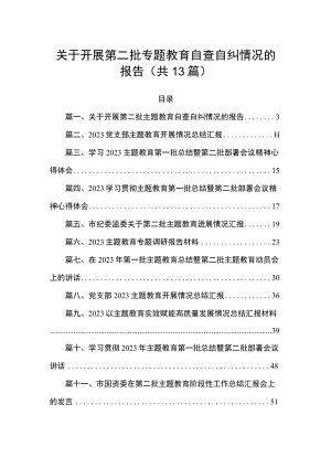 关于开展第二批专题教育自查自纠情况的报告（共13篇）.docx