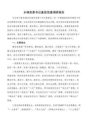 乡镇党委书记基层党建调研报告.docx