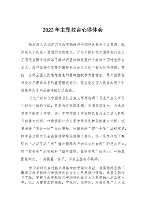 村支部书记第二批主题教育的心得感悟十二篇.docx