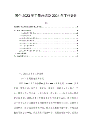 国企2023年工作总结及2024年工作计划.docx