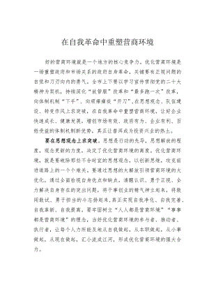 在自我革命中重塑营商环境 .docx