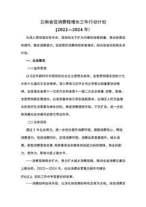 云南省促消费稳增长三年行动计划（2022—2024年）.docx