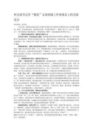 村支部书记在“模范”支部创建工作座谈会上的交流发言.docx