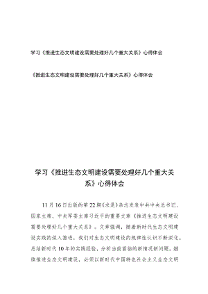 学习《推进生态文明建设需要处理好几个重大关系》心得体会2篇.docx