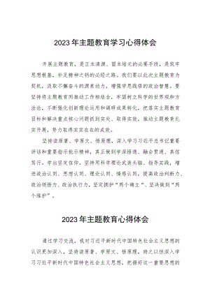 2023年村干部关于主题教育学习心得体会十二篇.docx