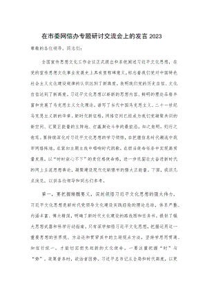 在市委网信办专题研讨交流会上的发言2023.docx