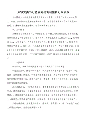 乡镇党委书记基层党建调研报告可编辑版.docx