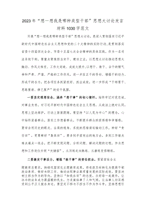 2023年“想一想我是哪种类型干部”思想大讨论发言材料1030字范文.docx