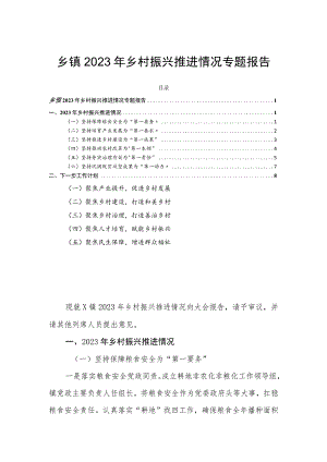 乡镇2023年乡村振兴推进情况专题报告.docx