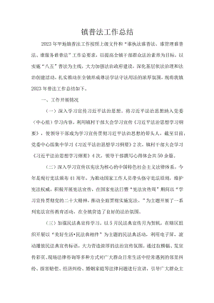镇普法工作总结.docx