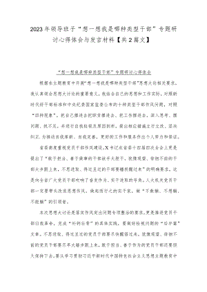 2023年领导班子“想一想我是哪种类型干部”专题研讨心得体会与发言材料【共2篇文】.docx