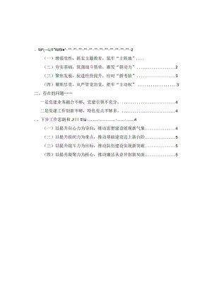 2023年度基层党支部书记抓党建工作述职报告范文九 .docx