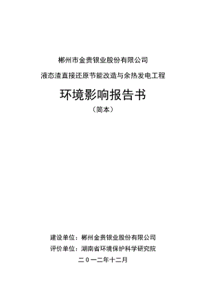 郴州市金贵银业股份有限公司液态渣直接还原节能改造与余热发电工程环境影响报告书.docx