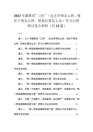 专题教育“三问”（过去学得怎么样、现在干得怎么样、将来打算怎么办）学习心得研讨发言材料12篇（精编版）.docx