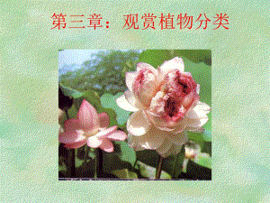 第3章观赏植物分类.ppt
