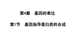 第4章基因的表达名师编辑PPT课件.ppt