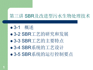 第3讲SBR工艺.ppt
