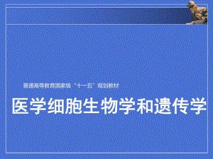第4章细胞核.ppt