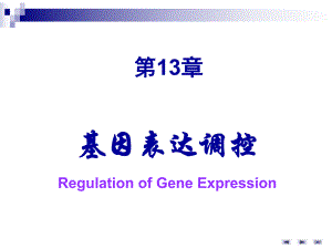 第4十三章基因表达调控.ppt