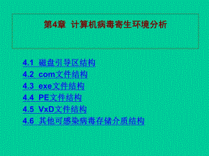 第4章计算机病毒寄生环境分析名师编辑PPT课件.ppt