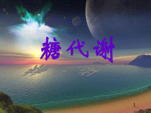 第4章糖代谢.ppt