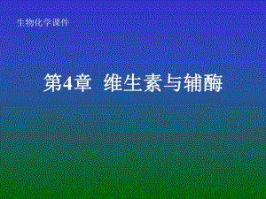 第4章维生素与辅酶.ppt