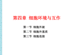 第4章细胞环境与互作.ppt