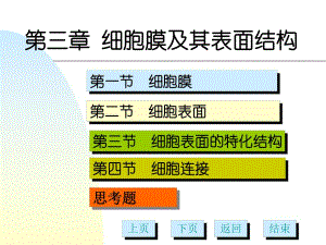 第3章细胞膜及表面结构多媒体.ppt
