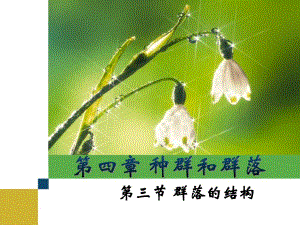 第4章种群和群落第3节群落的结构.ppt