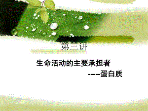第3讲：蛋白质生命活动的主要承担者2.ppt