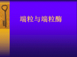 第4章基因重组端粒与端粒酶ppt课件名师编辑PPT课件.ppt