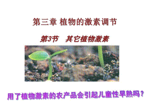 第3节其它植物激素名师编辑PPT课件.ppt
