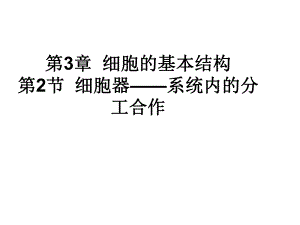 第3章细胞的基本结构.ppt