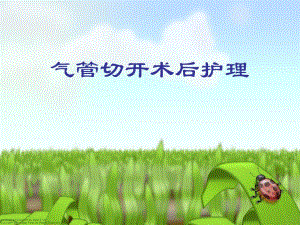 气管切开护理.ppt