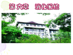 6.第六章消化与吸收.ppt