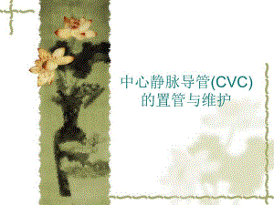中心静脉导管(CVC)的置管与维护.ppt