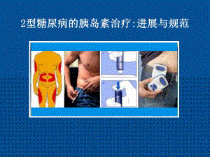 2型糖尿病的胰岛素治疗进展与规范.ppt