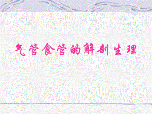 气管,食管.ppt