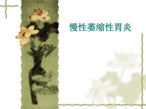 医院慢性萎缩性胃炎.ppt