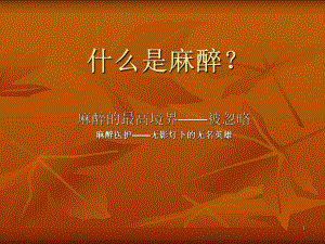 麻醉前访视.ppt