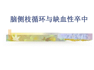 脑缺血侧枝循环治疗.ppt