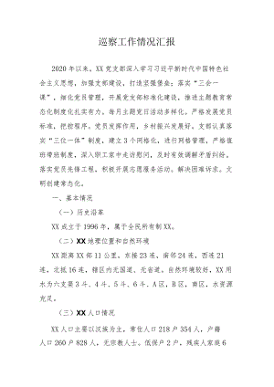 巡察工作情况汇报.docx