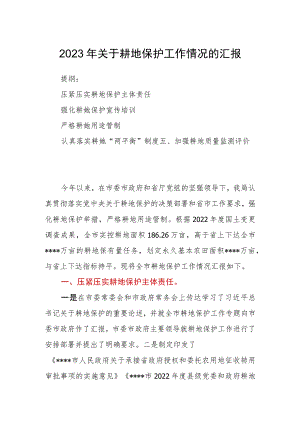 2023年关于耕地保护工作情况的汇报.docx