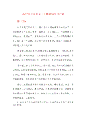 2023年公司新员工工作总结实用六篇.docx