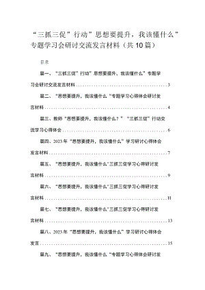 2023“三抓三促”行动”思想要提升我该懂什么”专题学习会研讨交流发言材料【10篇精选】供参考.docx