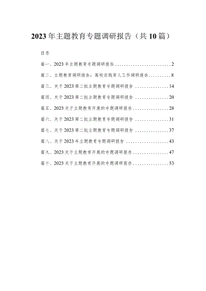 2023年主题教育专题调研报告（共10篇）.docx