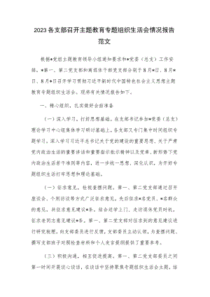2023各支部召开主题教育专题组织生活会情况报告范文.docx