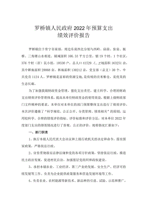 罗桥镇人民政府2022年预算支出绩效评价报告.docx