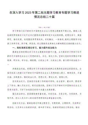 在深入学习2023年第二批主题学习教育专题学习推进情况总结二十篇.docx